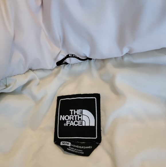 North Face 550 Cream Puffer - Picture 8 of 13